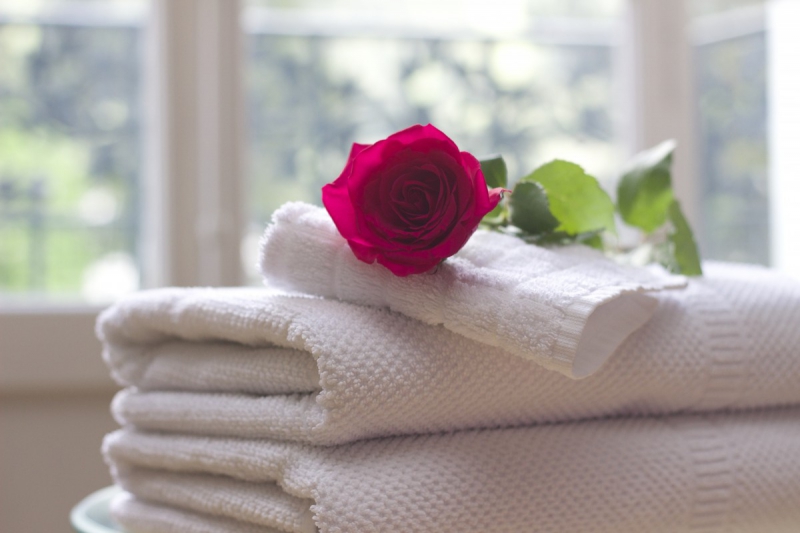 hotel-ST ANTONIN DU VAR-min_towel_rose_clean_care_salon_spa_white_bath-731641